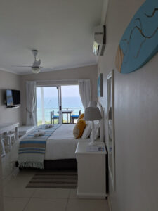 Starfish Suite1