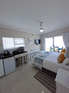 Starfish Suite10