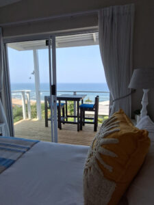 Starfish Suite11