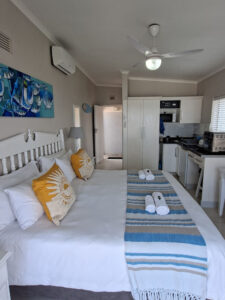 Starfish Suite12