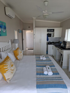 Starfish Suite4